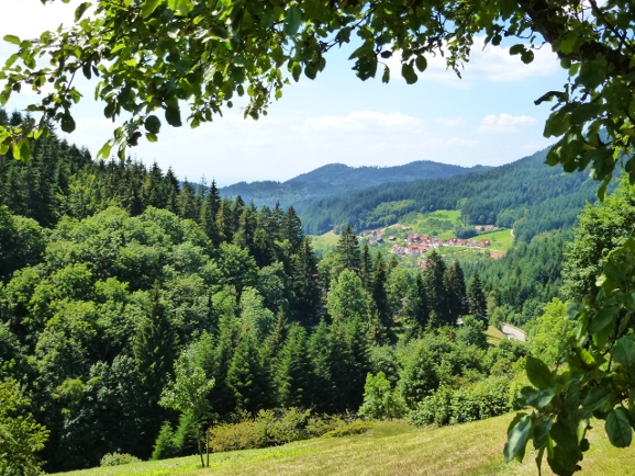 Blick vom Ferienhaus auf Seebach im Schwarzwald