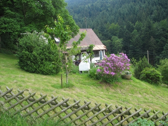 Der Garten vom Ferienhaus